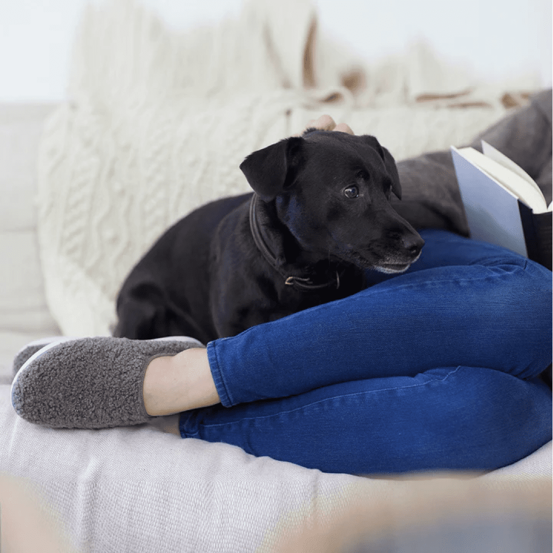 green reactives lifestyle image of a girl on her couch reading a book with her soft slip on shoes and her dog behind her legs